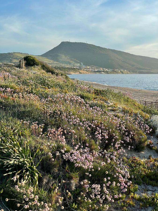 Zaffiro Casa Vacanze Al Mare Valledoria  Luaran gambar