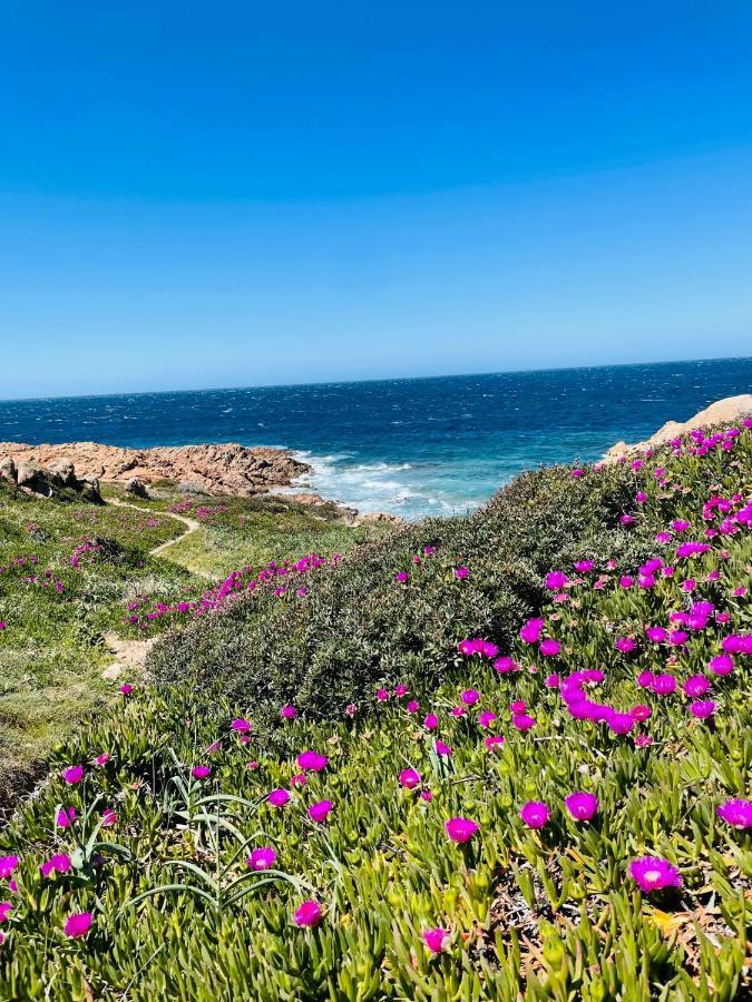 Zaffiro Casa Vacanze Al Mare Valledoria  Luaran gambar