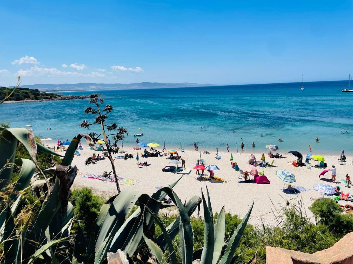 Zaffiro Casa Vacanze Al Mare Valledoria  Luaran gambar