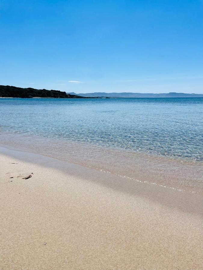 Zaffiro Casa Vacanze Al Mare Valledoria  Luaran gambar